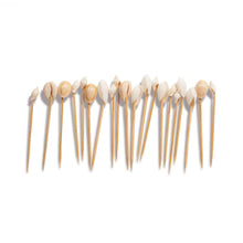 Load image into Gallery viewer, SEASHELL PICKS